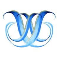 Paradis Plage Surf Yoga & Spa