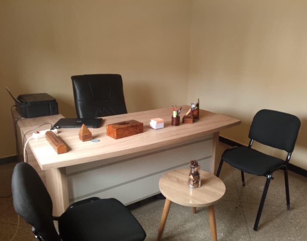 Domex Consulting