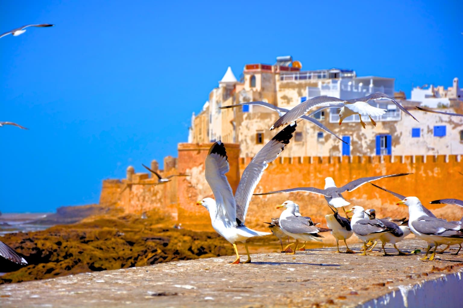 Is Essaouira Worth It?
