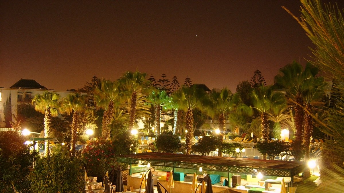 Palm trees and the terrace of a beach hotel in Agadir at night, in the hotel zone where the best budget hotels in Agadir sit a few streets back from the promenade