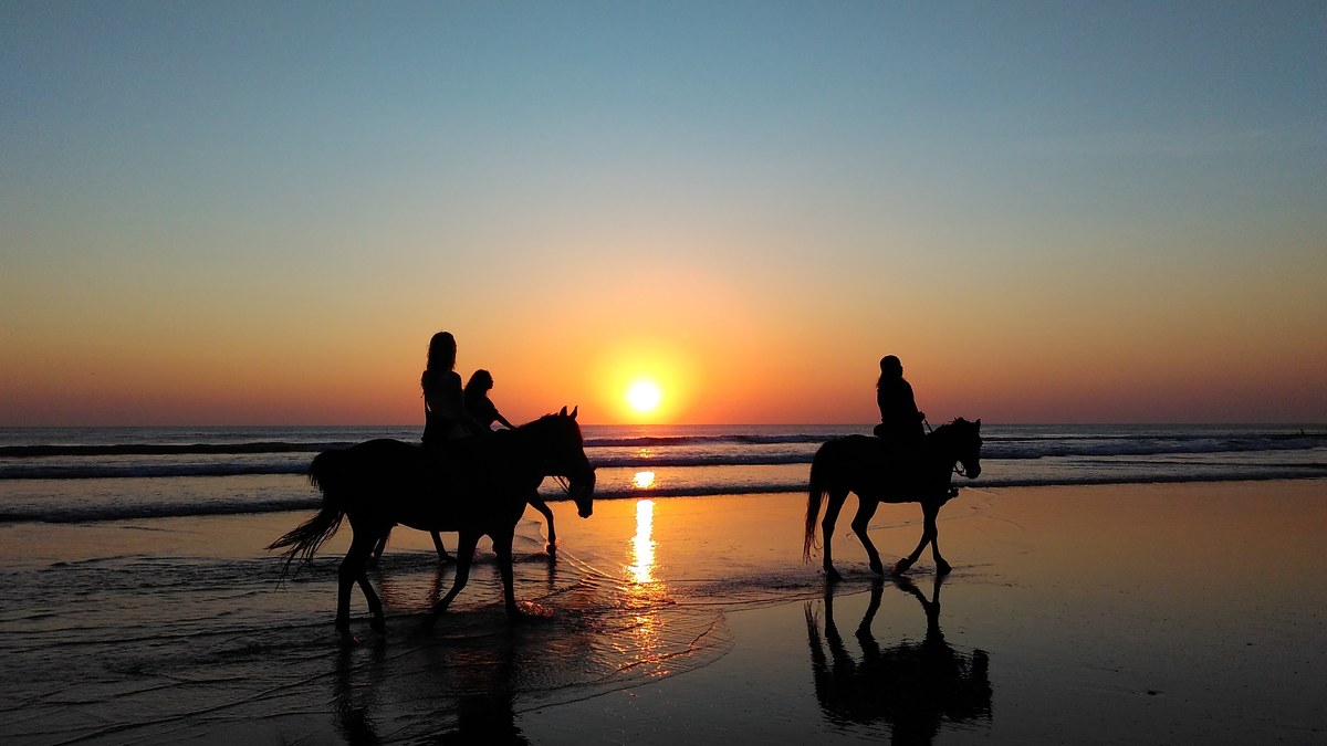 Horse Riding on Agadir Beach: Sunset Rides, Prices and What to Expect