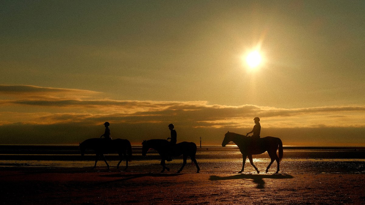 group horse riding on Agadir beach on a guided ride along the shoreline at sunset