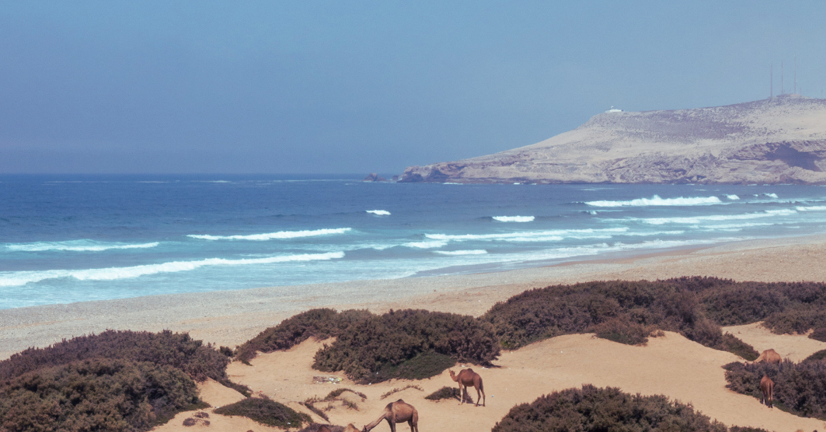 Tamri Agadir Morocco And Timlaline