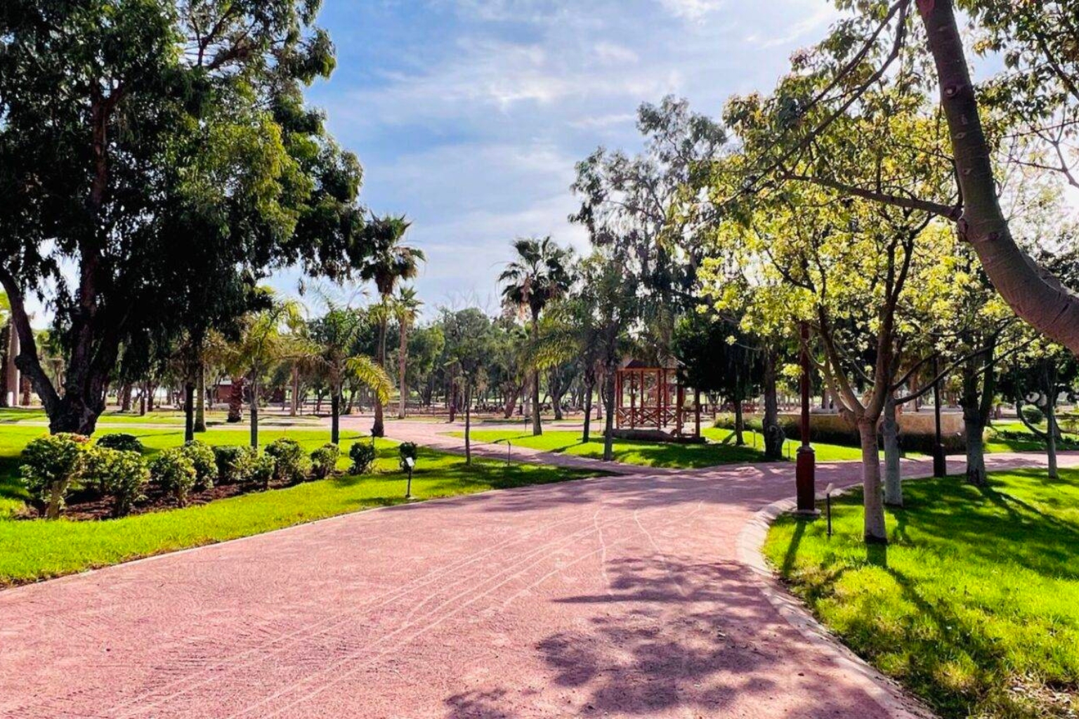 Agadir's Green Oasis: A Guide to Public Parks