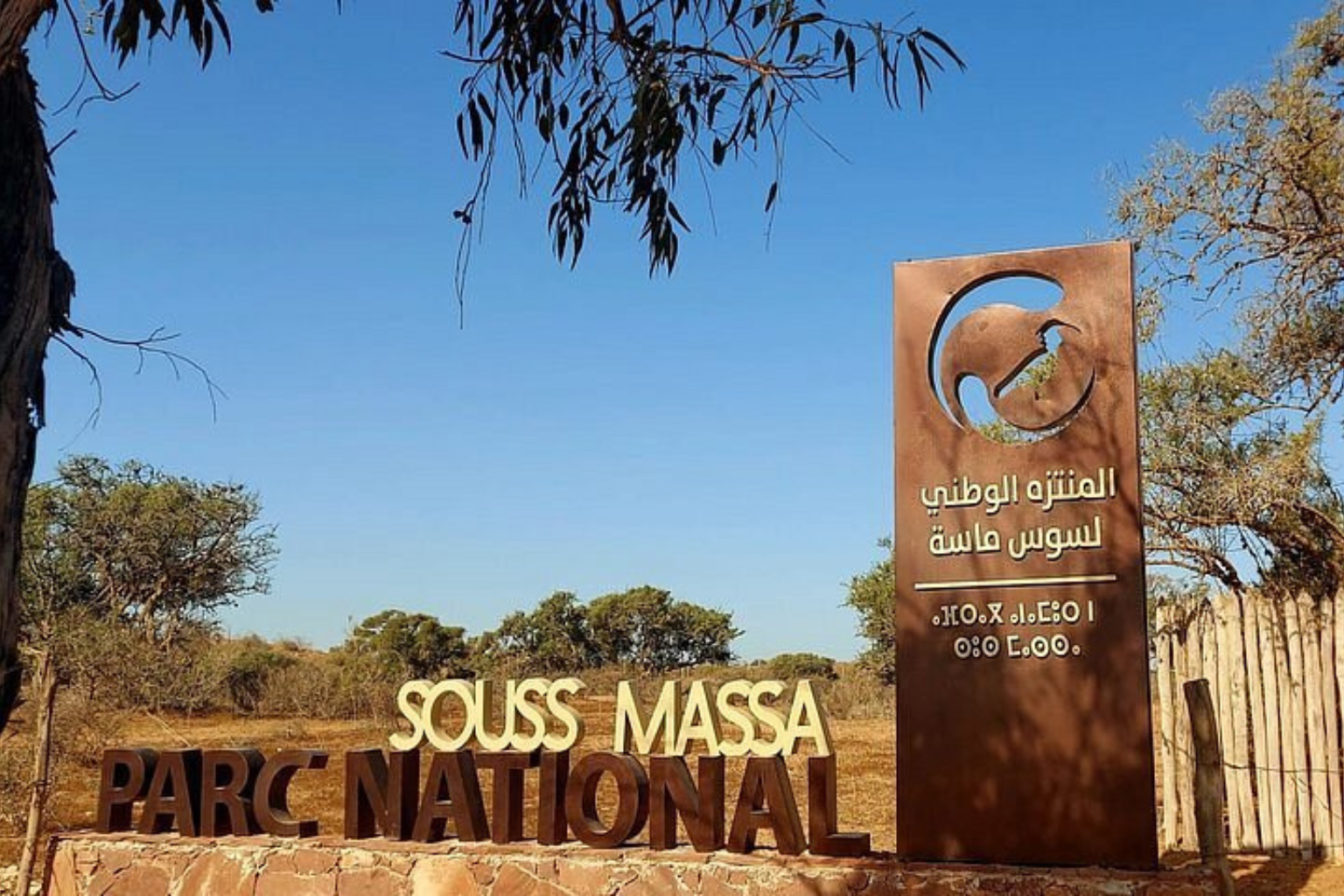 Souss Massa Park: A Natural Wonder Managed by ANEF