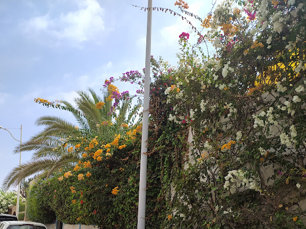 ISTA : Institut Spécialisé de Technologie Appliquée_Taddart Agadir — photo 3