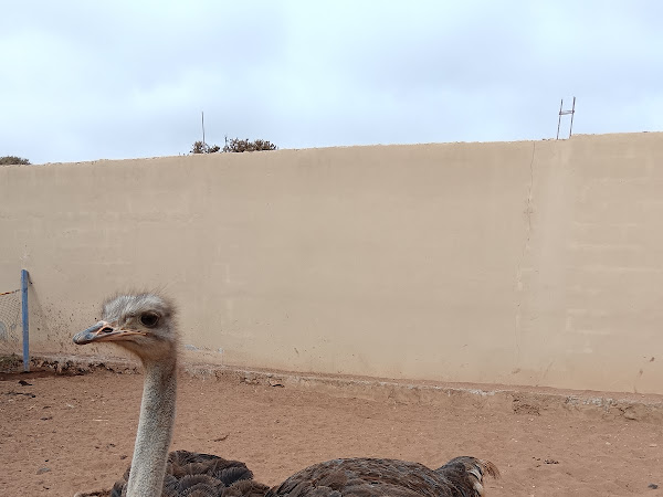 Agadir Loisirs Quad — photo 7