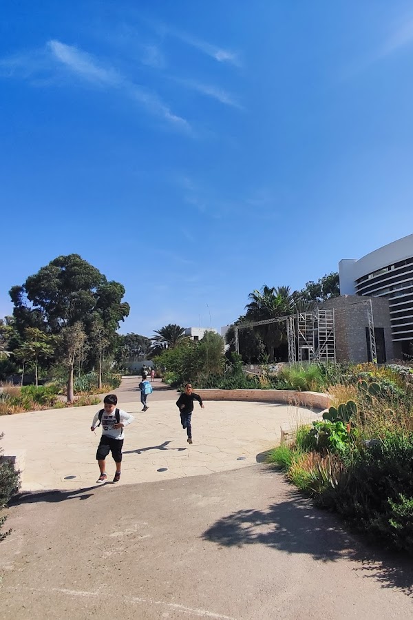 Institut français d'Agadir — photo 2