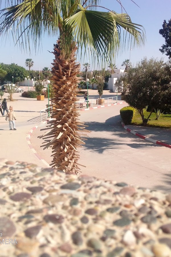 Faculté des sciences d'Agadir — photo 5