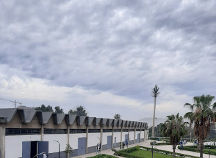 IPSIA — photo 4