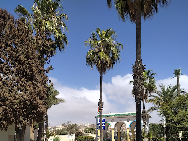 ISTA : Institut Spécialisé de Technologie Appliquée_Taddart Agadir — photo 2