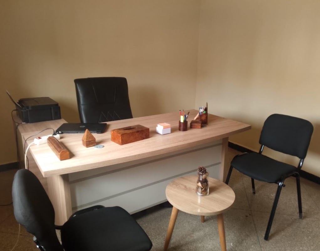 Domex Consulting