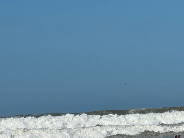 Wave Rise Surf School Agadir — photo 7