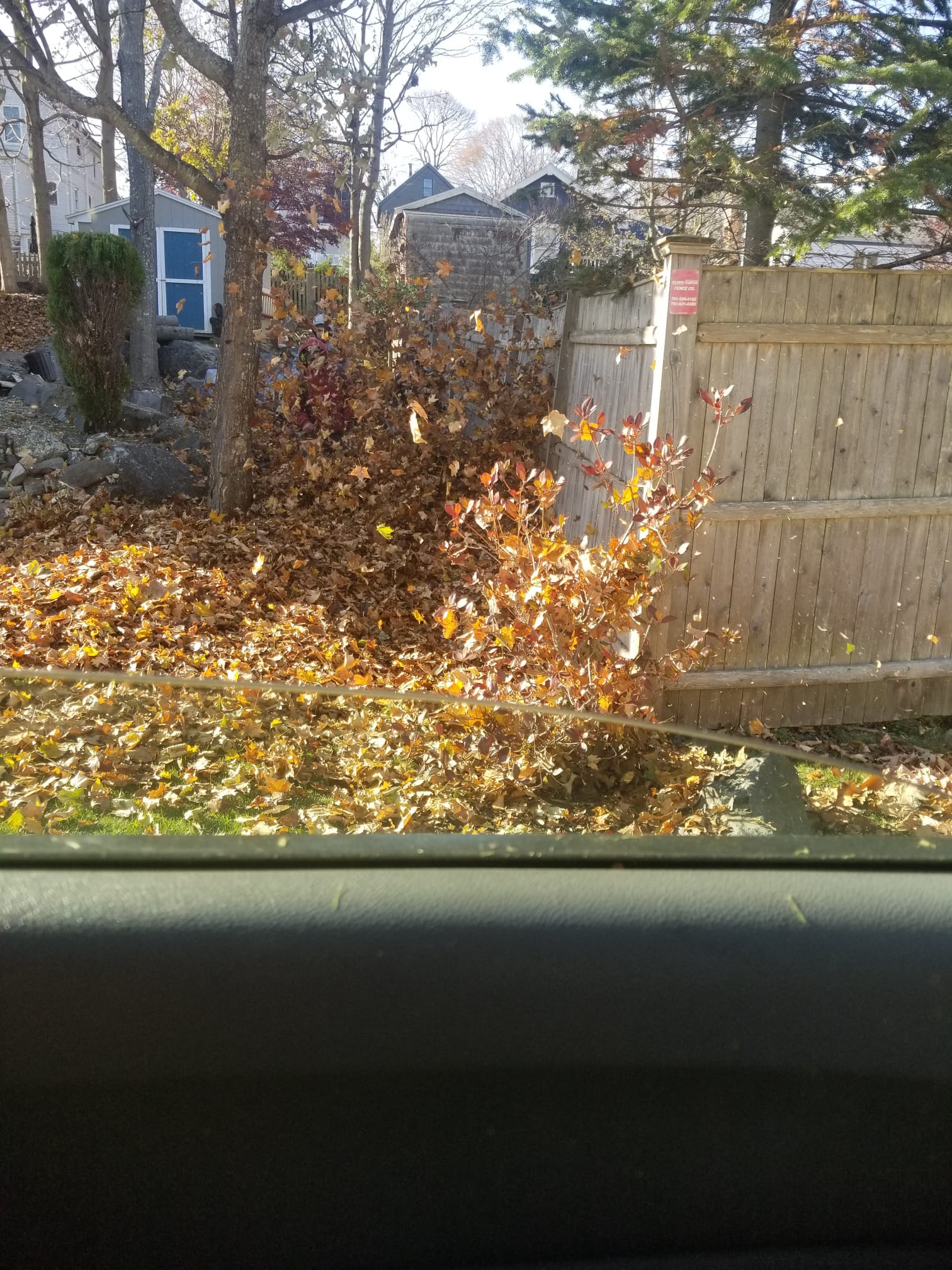 Atlas Fall Cleanup & Lawn Care — photo 2