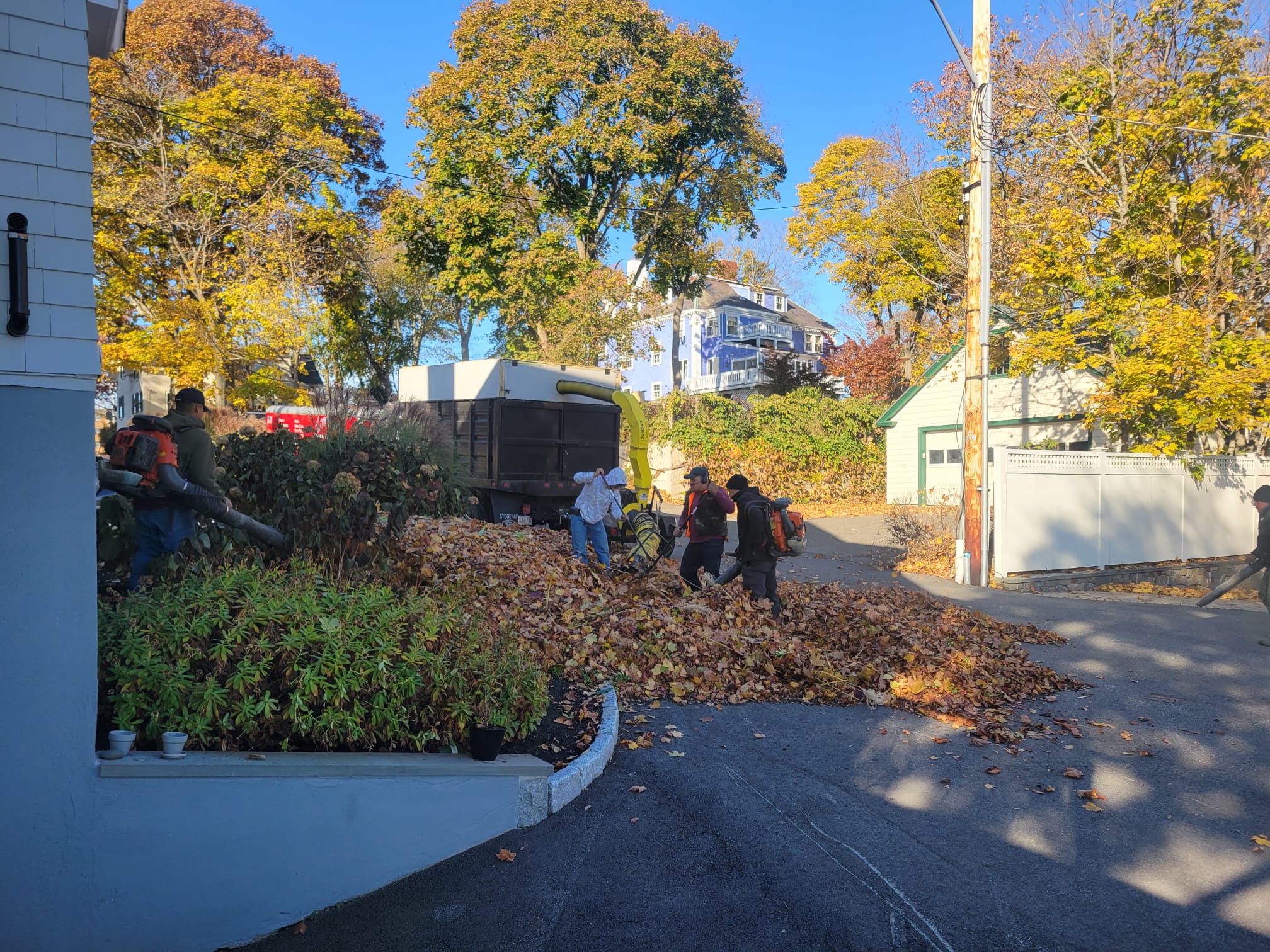 Atlas Fall Cleanup & Lawn Care — photo 3