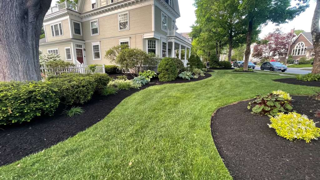 Atlas Fall Cleanup & Lawn Care — photo 4