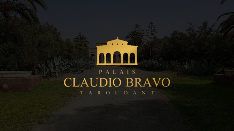 Hôtel Musée Palais Claudio Bravo