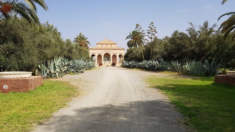 Hôtel Musée Palais Claudio Bravo — photo 8