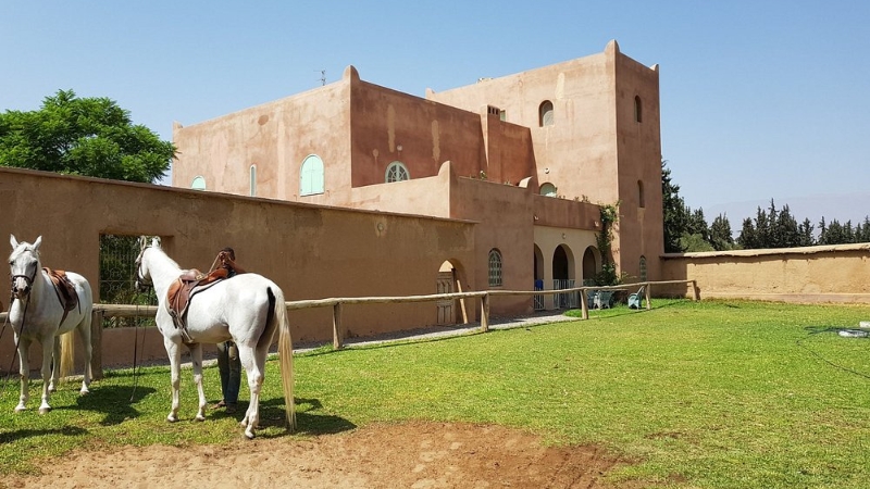 Hôtel Musée Palais Claudio Bravo — photo 9