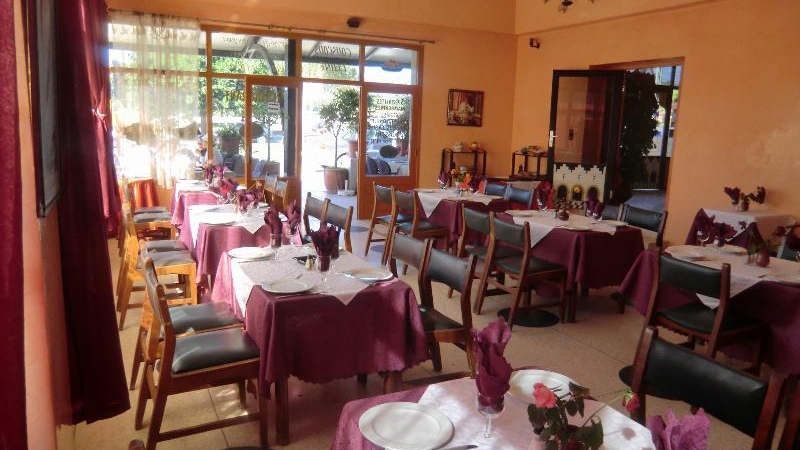 Les Palmiers — photo 4