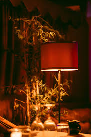 Coup de Foudre — photo 2